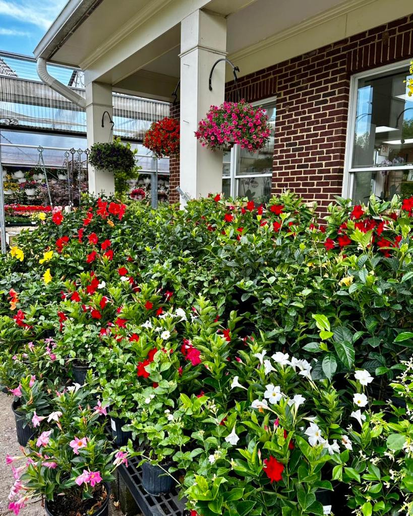 Garden Center Lake Ridge Nursery